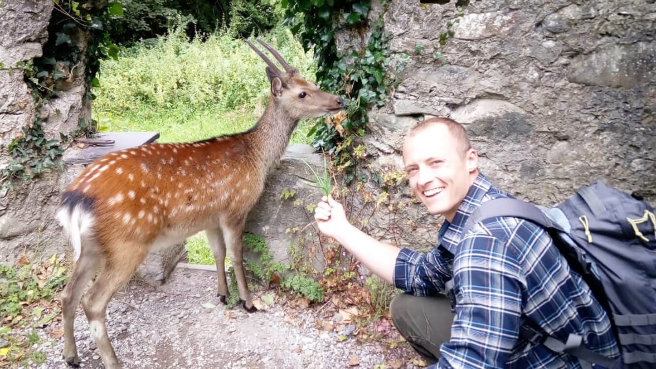 Vagabond tour guest with deer in Killarney National Park, Ireland