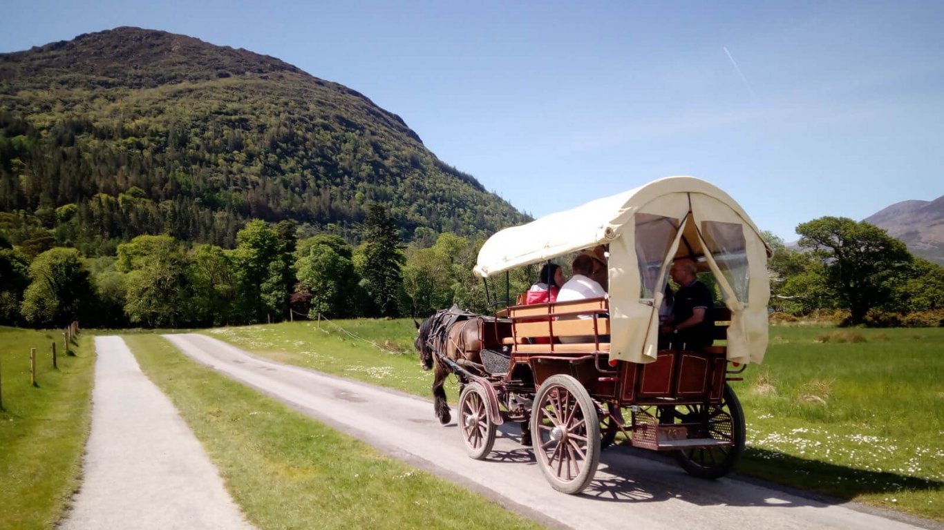 A Driftwood group on a horse-drawn carriage ride through Killarney National Park