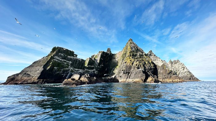 All aboard! The magnificent Little Skellig island is one of the world's most important breeding colonies of gannets