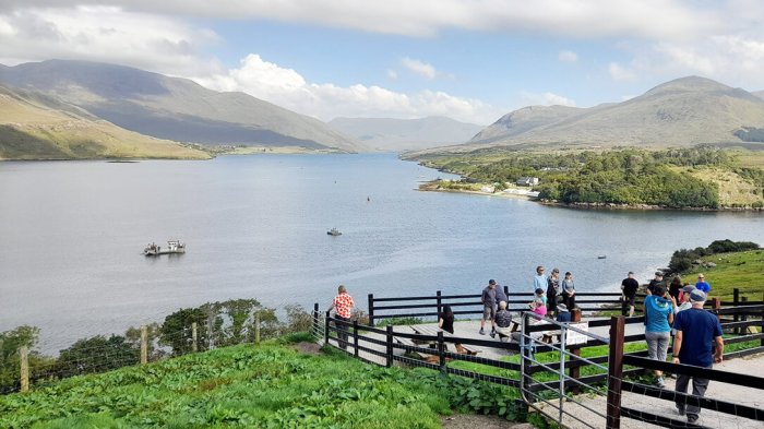 Taking in the views of Ireland's only Fjord on the Galway/Mayo border Our guests enjoying a sheepdog demonstration overlooking Killary Fjord