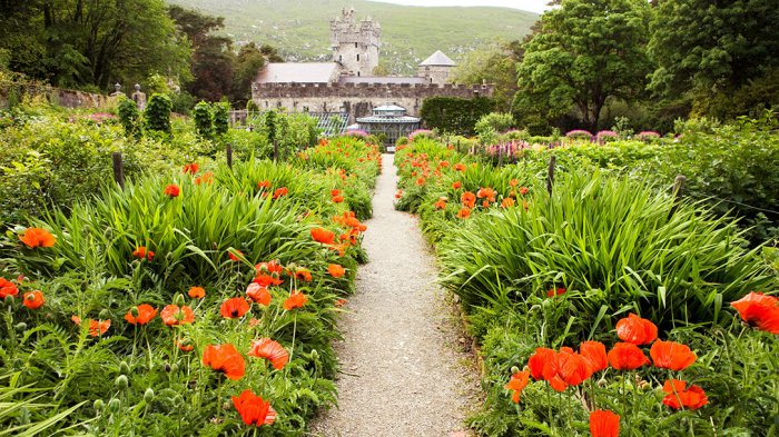 The exterior of the Glenveagh Castle Gardens with bright red flowers and green plants