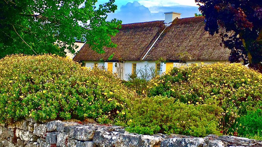 Guest Judy Marazas' image of cottages in Ballyvaughan
